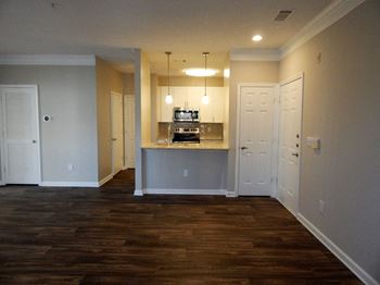 Newly Renovated Apartment Homes with Granite Counter Tops